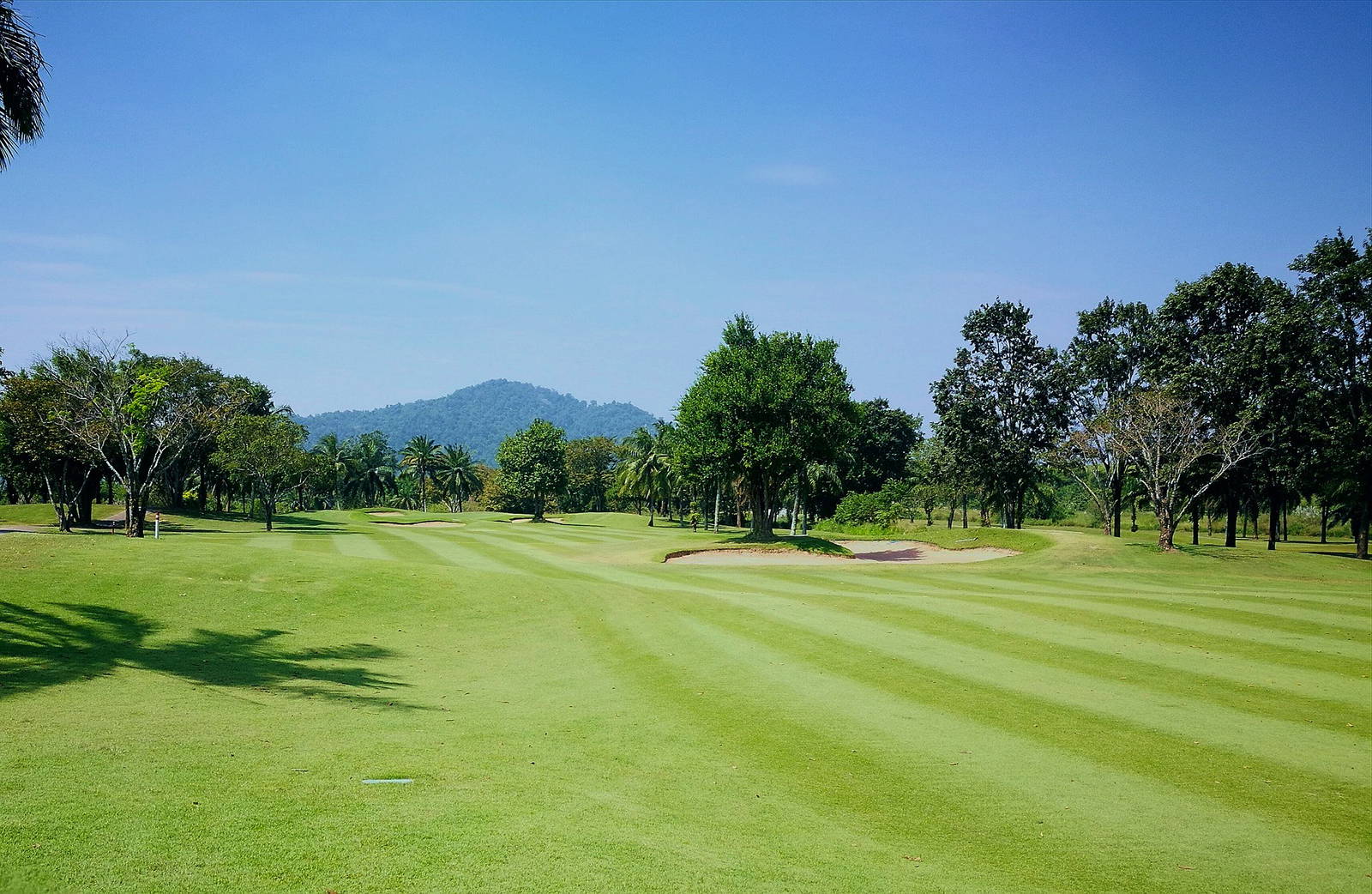 Fairway, Pattavia Century Golf Club, Pattaya, Thailand