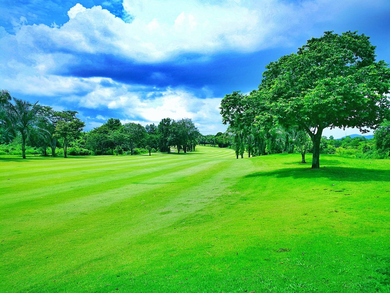 Fairway, Pattavia Century Golf Club, Pattaya, Thailand