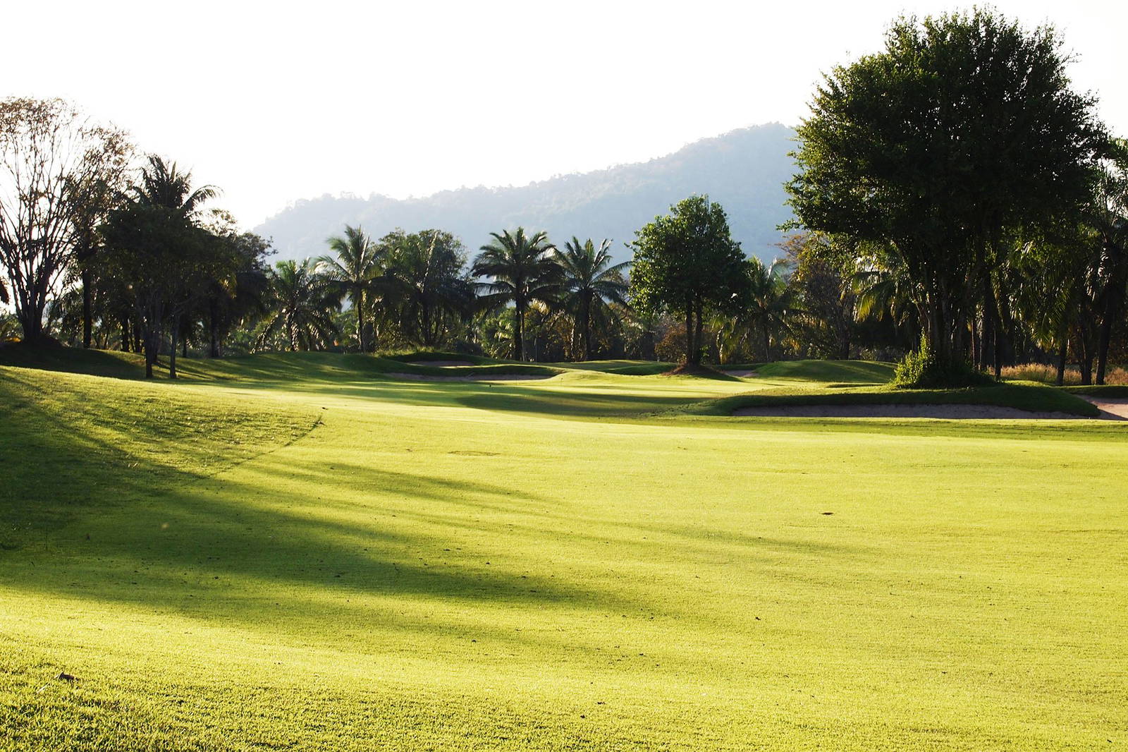 Fairway, Pattavia Century Golf Club, Pattaya, Thailand
