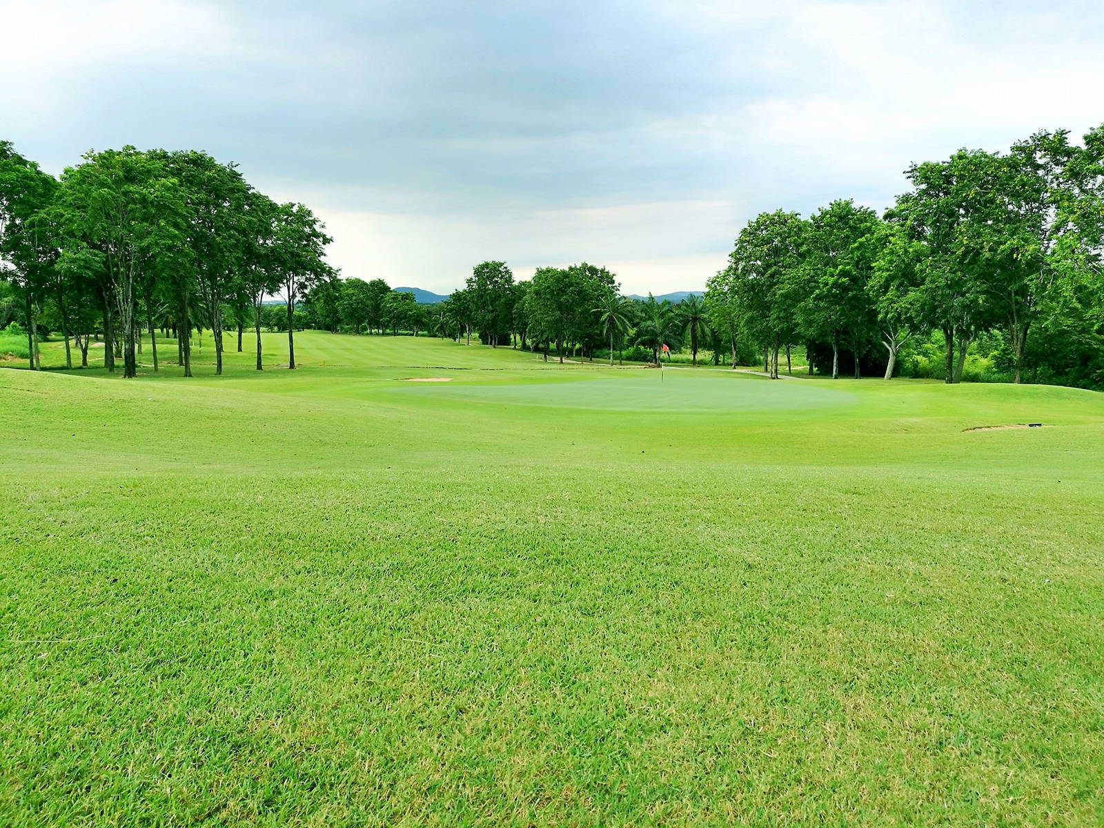 Green, Pattavia Century Golf Club, Pattaya, Thailand