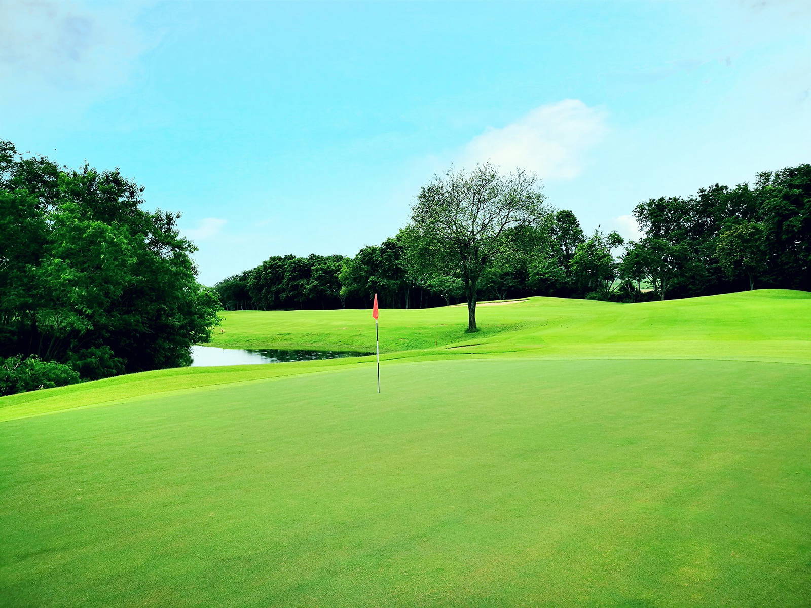 Green, Pattavia Century Golf Club, Pattaya, Thailand