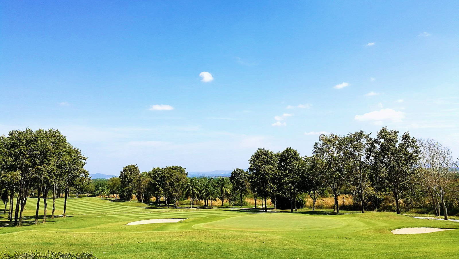 Green, Pattavia Century Golf Club, Pattaya, Thailand