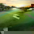 Green, Pattaya Country Club Golf Resort, Pattaya, Thailand