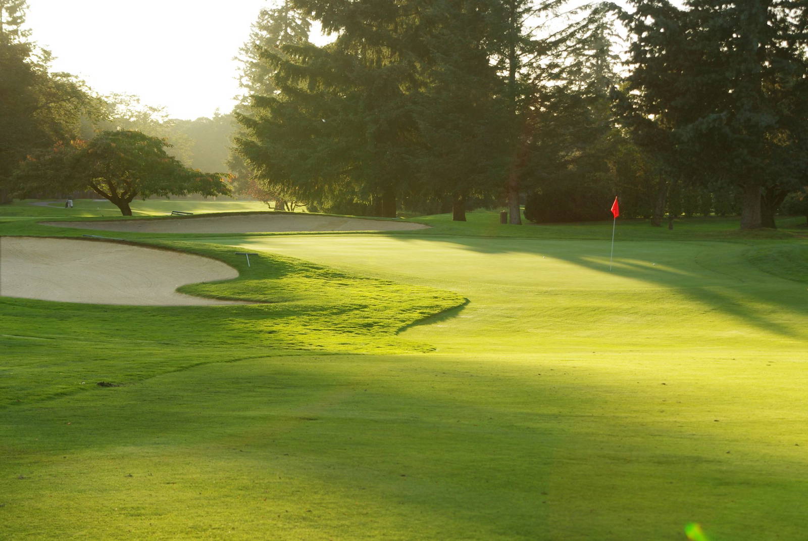 Green, Pattaya Country Club Golf Resort, Pattaya, Thailand
