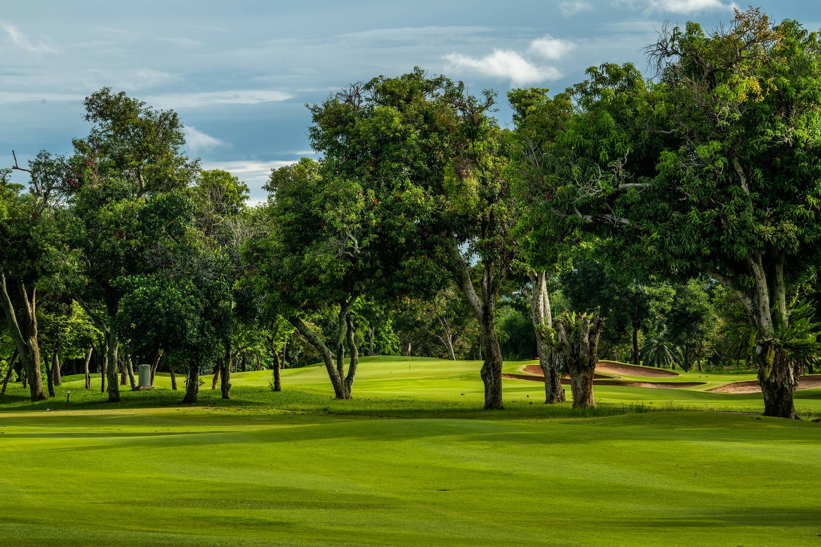 Green, Fairway, Phoenix Gold Golf & Country Club, Pattaya, Thailand