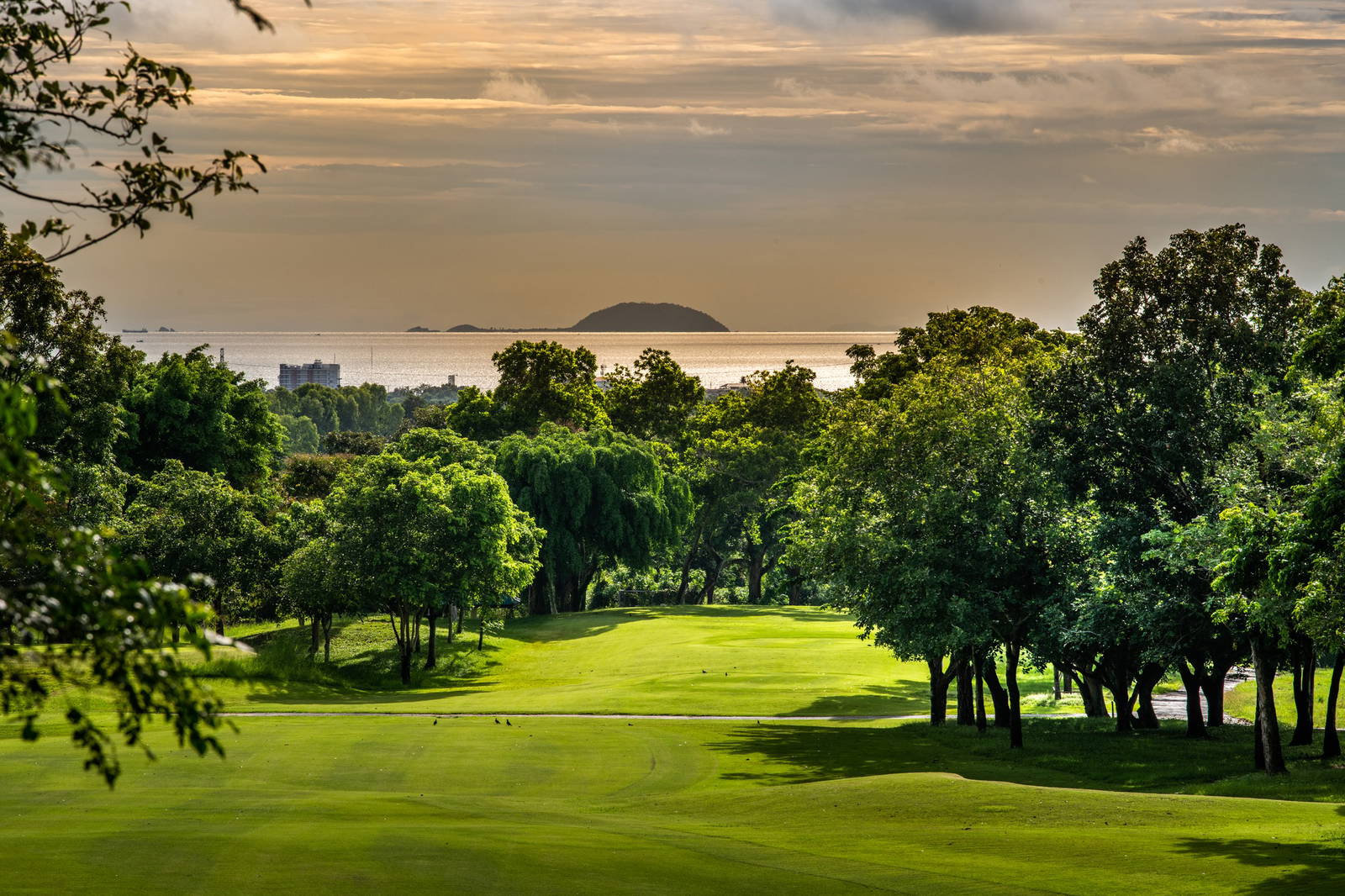 Fairway, Phoenix Gold Golf & Country Club, Pattaya, Thailand