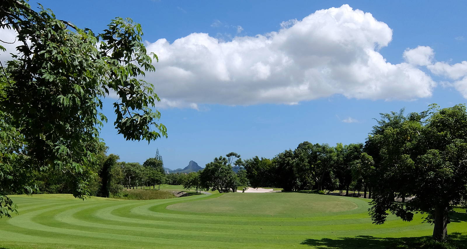 Green, Phoenix Gold Golf & Country Club, Pattaya, Thailand