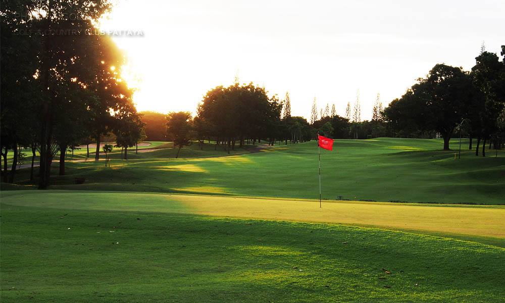 Green, Phoenix Gold Golf & Country Club, Pattaya, Thailand