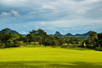 Green, Phoenix Gold Golf & Country Club, Pattaya, Thailand