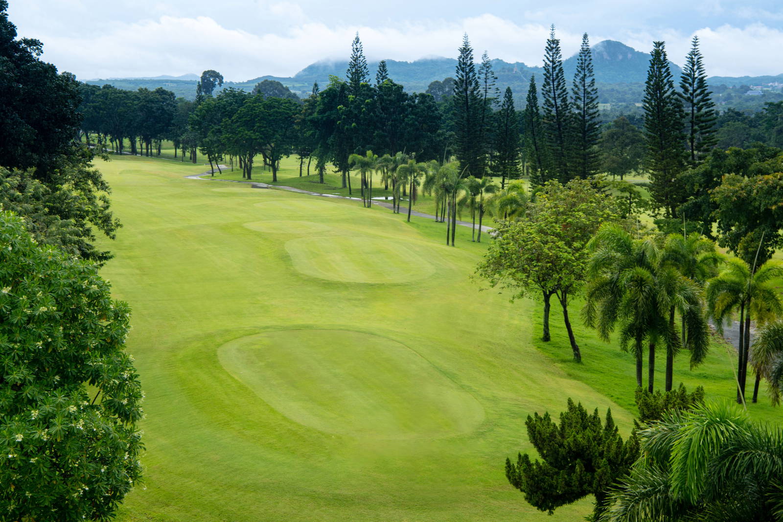 Tee Box, Phoenix Gold Golf & Country Club, Pattaya, Thailand