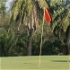 Green, Caddie, Pinehurst Golf Country Club, Bangkok, Thailand