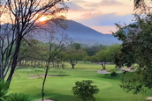 Green, Plutaluang Navy Golf Course, Pattaya, Thailand
