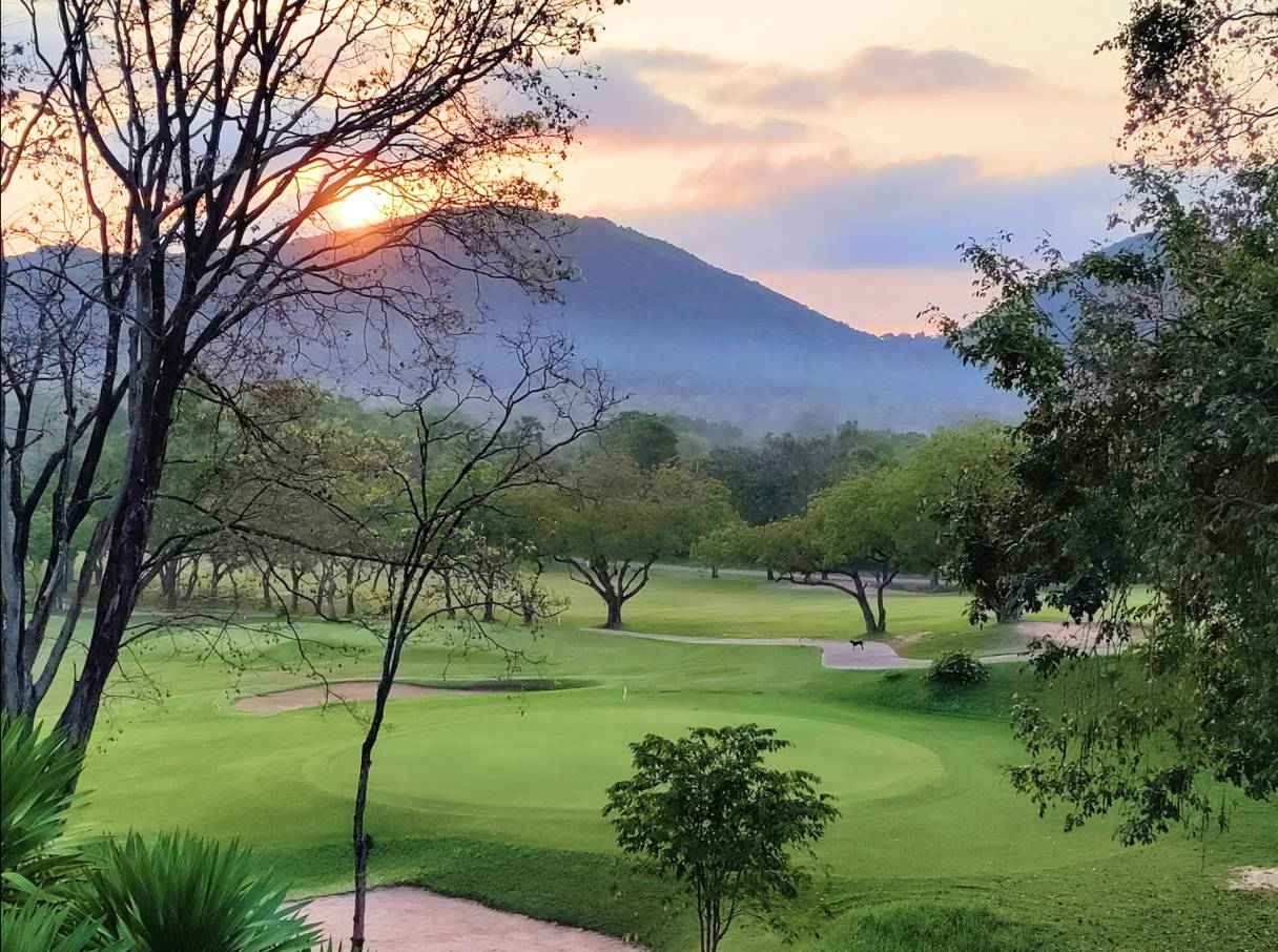 Green, Plutaluang Navy Golf Course, Pattaya, Thailand