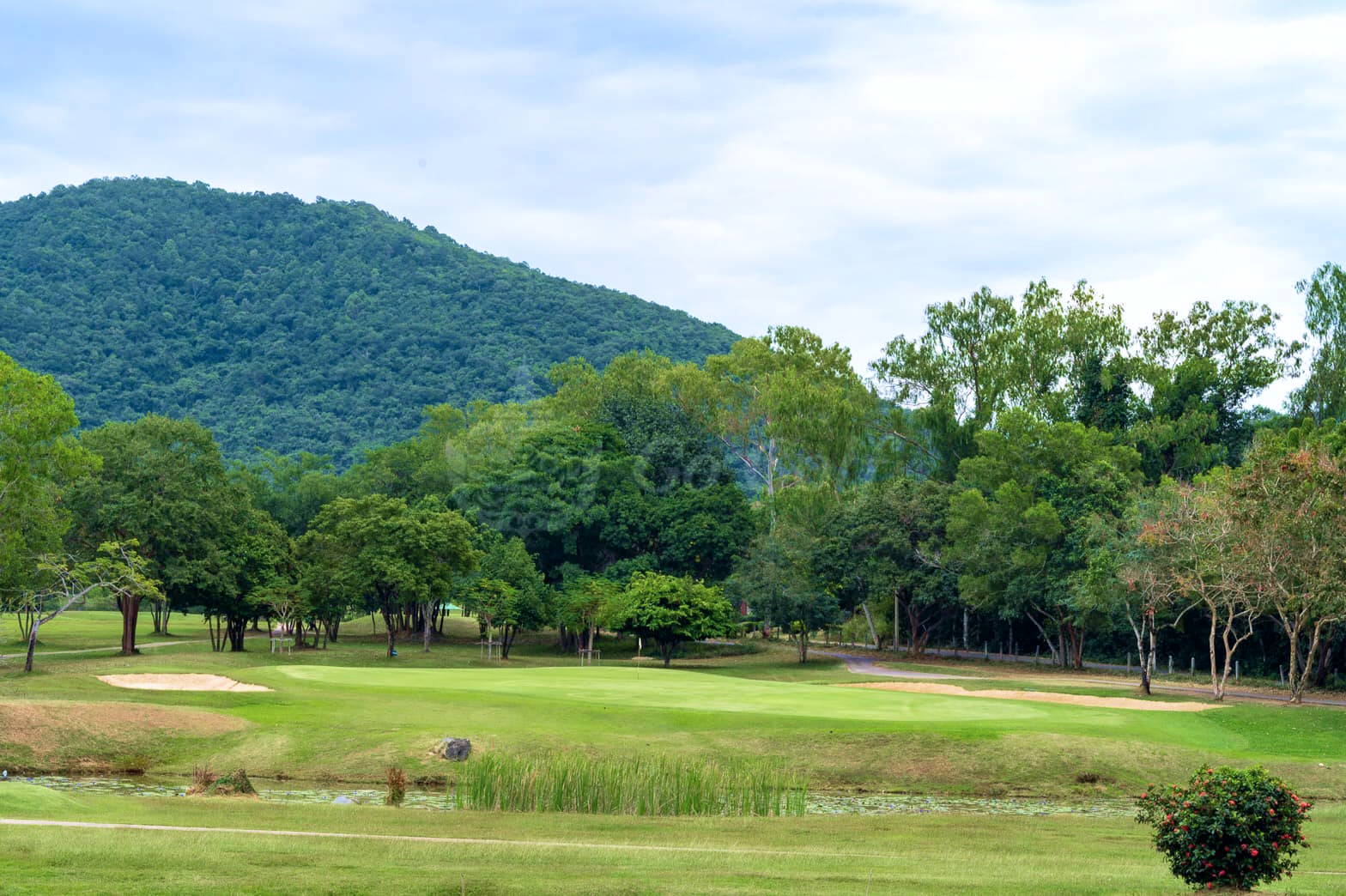 Green, Plutaluang Navy Golf Course, Pattaya, Thailand