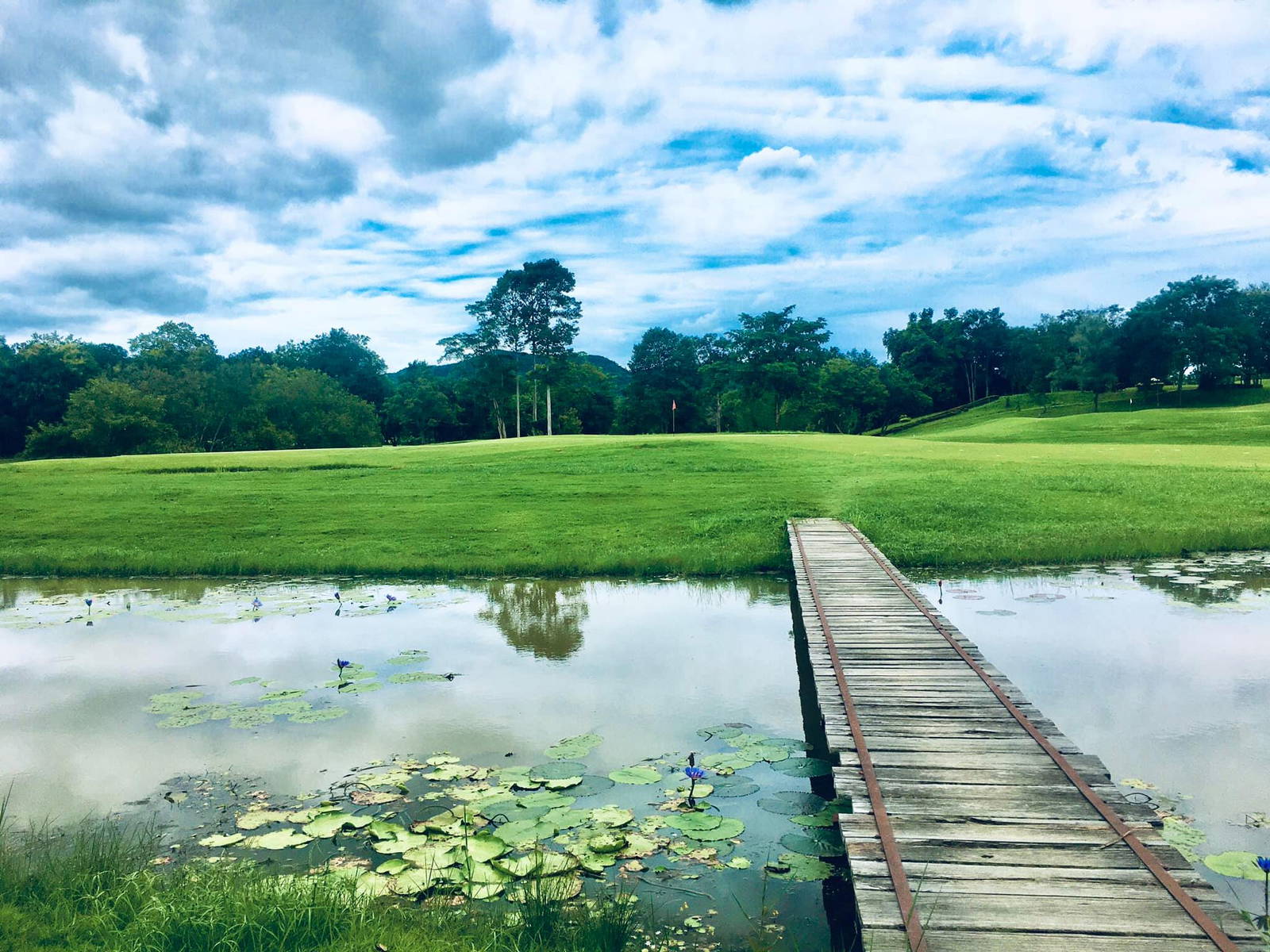 Green, Water Hazard, Plutaluang Navy Golf Course, Pattaya, Thailand