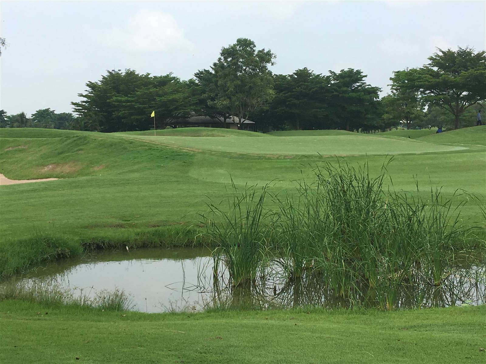 Green, Water Hazard, Rachakram Golf Club, Bangkok, Thailand
