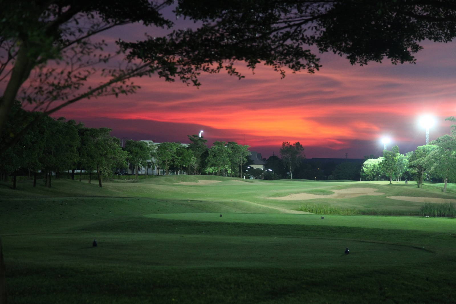 Tee Box, Rachakram Golf Club, Bangkok, Thailand