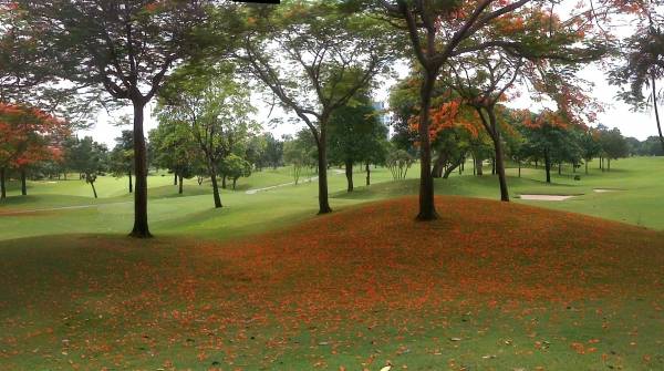 Fairway, Rajpruek Golf Club, Bangkok, Thailand