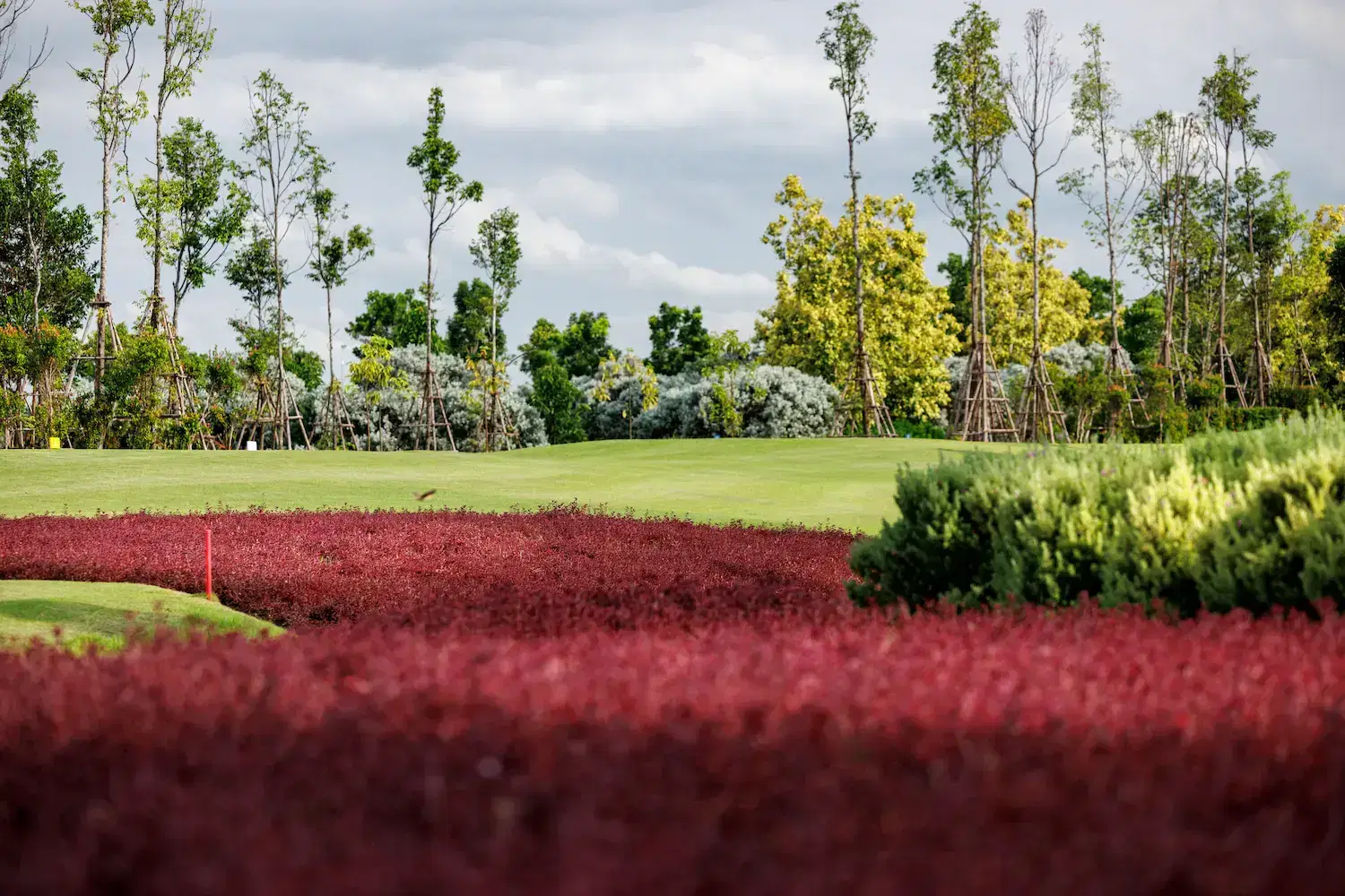 Tee Box, Robinswood Golf Club, Bangkok, Thailand