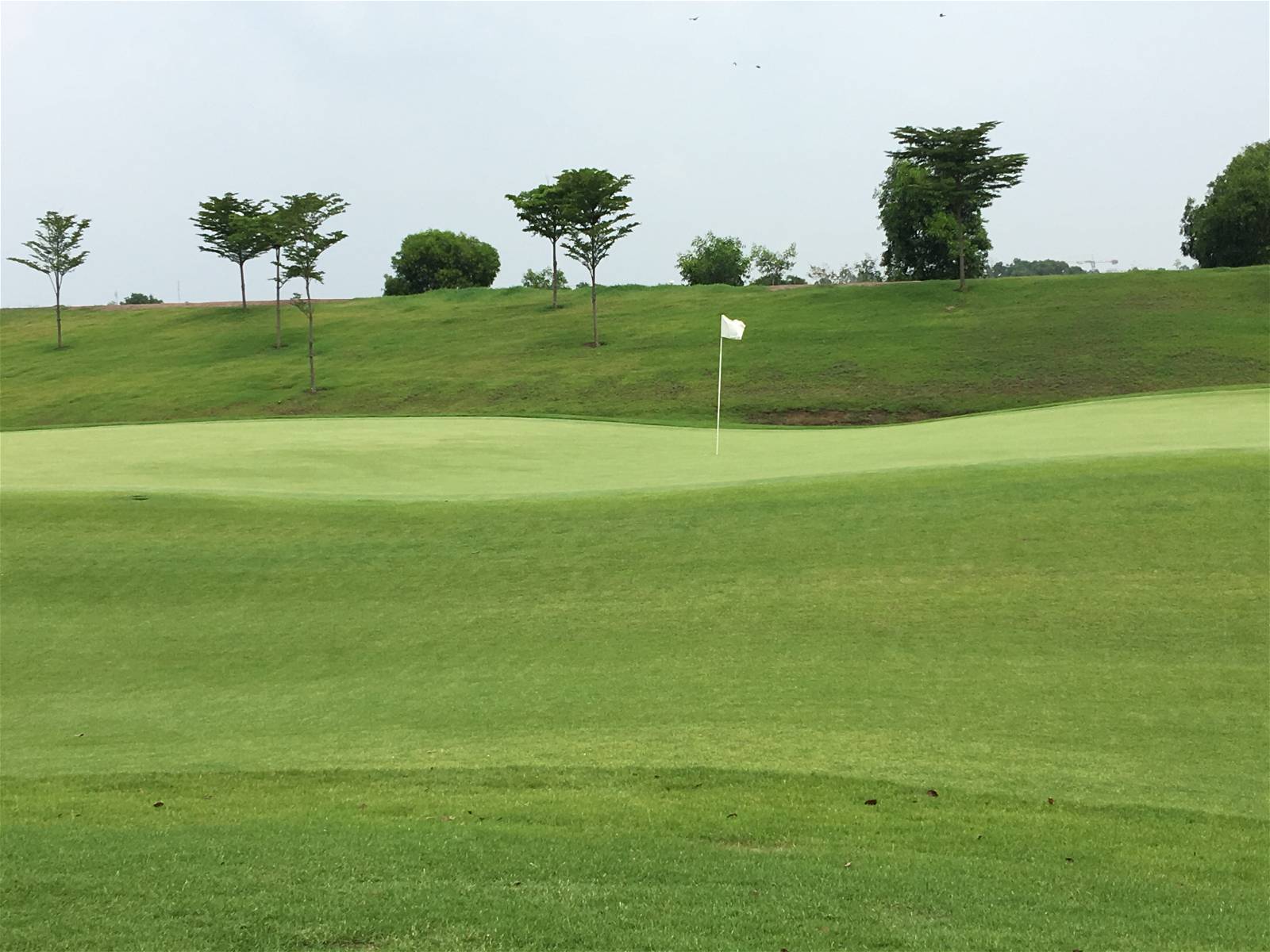 Green, Royal Bang Pa-In Golf Club, Bangkok, Thailand