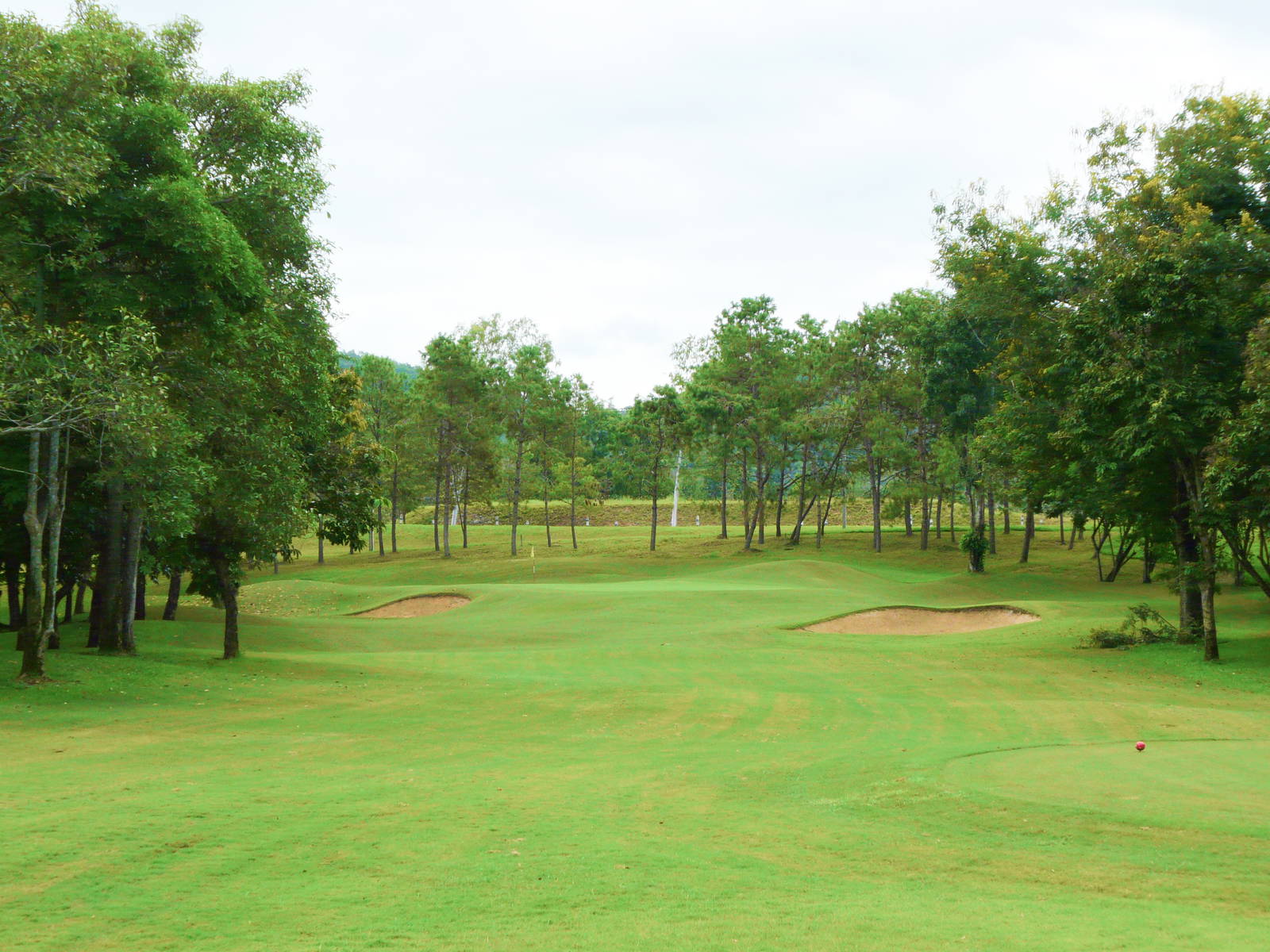 Approach, Royal Chiang Mai Golf Resort, Chiang Mai, Thailand