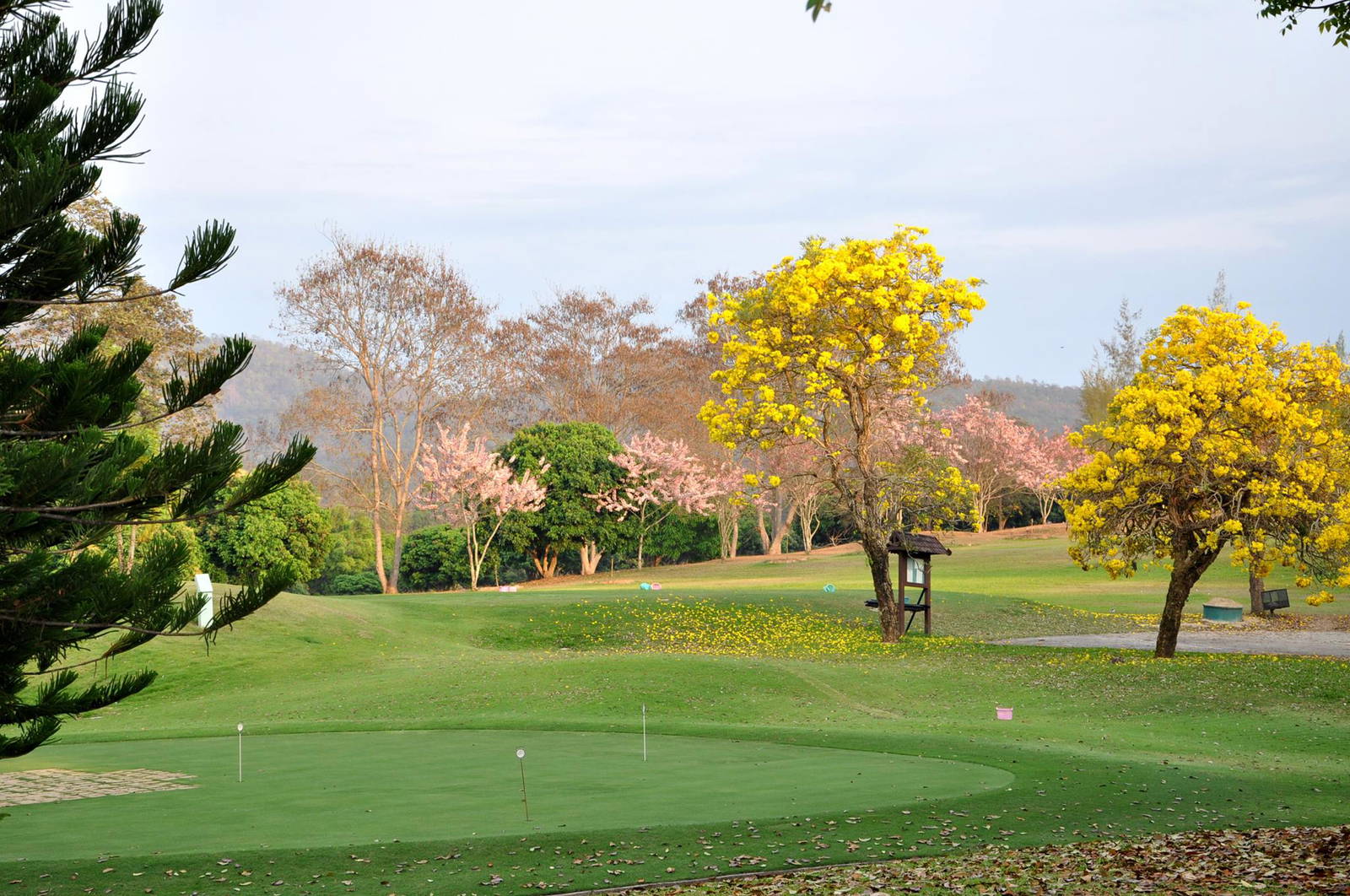 Practice Green, Royal Chiang Mai Golf Resort, Chiang Mai, Thailand