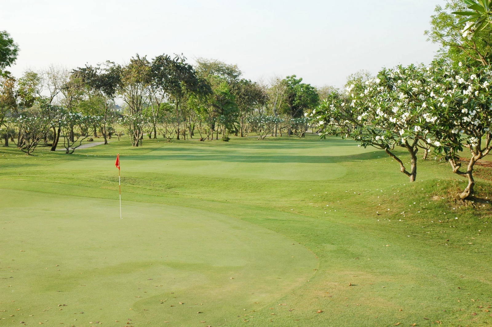 Green, Royal Gems Golf  & Sports Club, Bangkok, Thailand