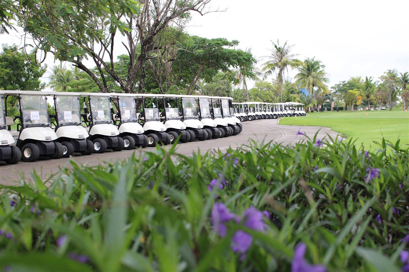 Cart, Royal Lakeside Golf Club, Pattaya, Thailand
