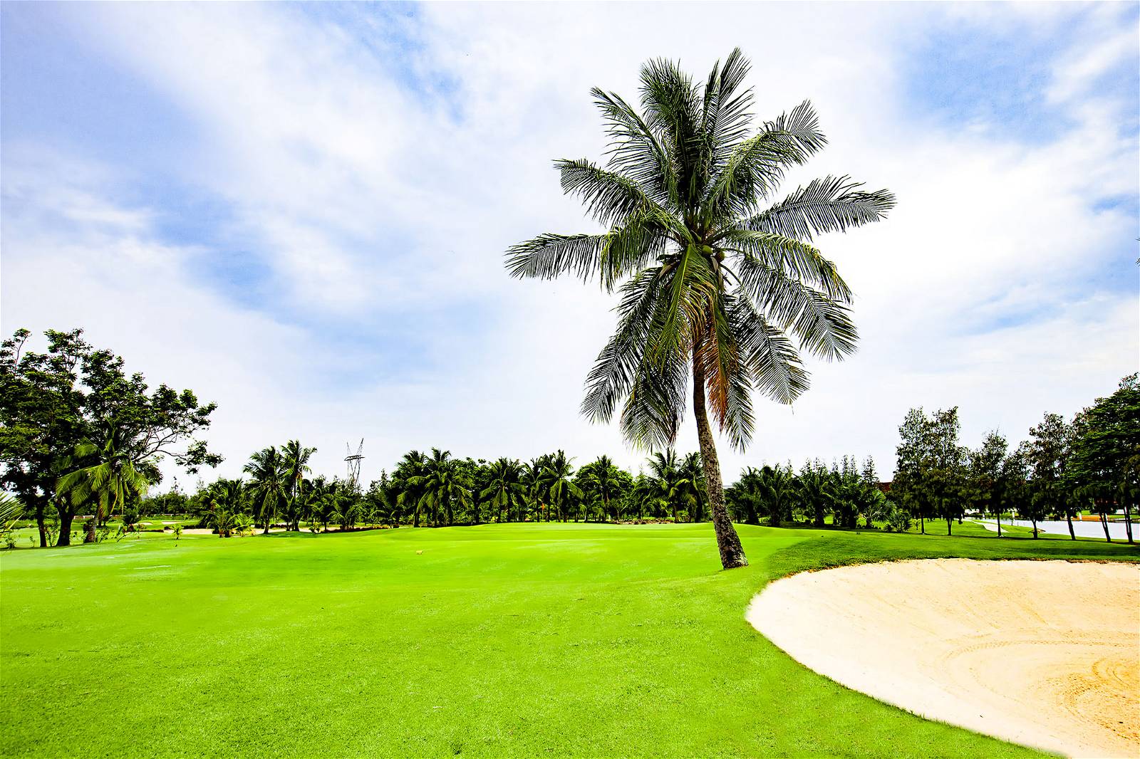 Fairway, Bunker, Royal Lakeside Golf Club, Pattaya, Thailand