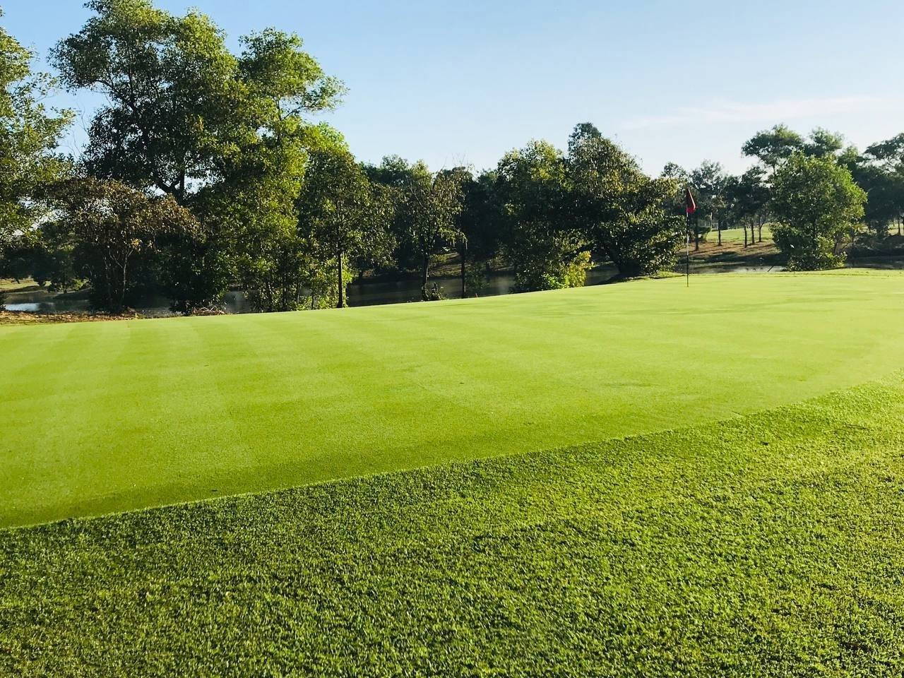 Green, Royal Cambodia Phnom Penh Golf Club, Phnom Penh, Cambodia