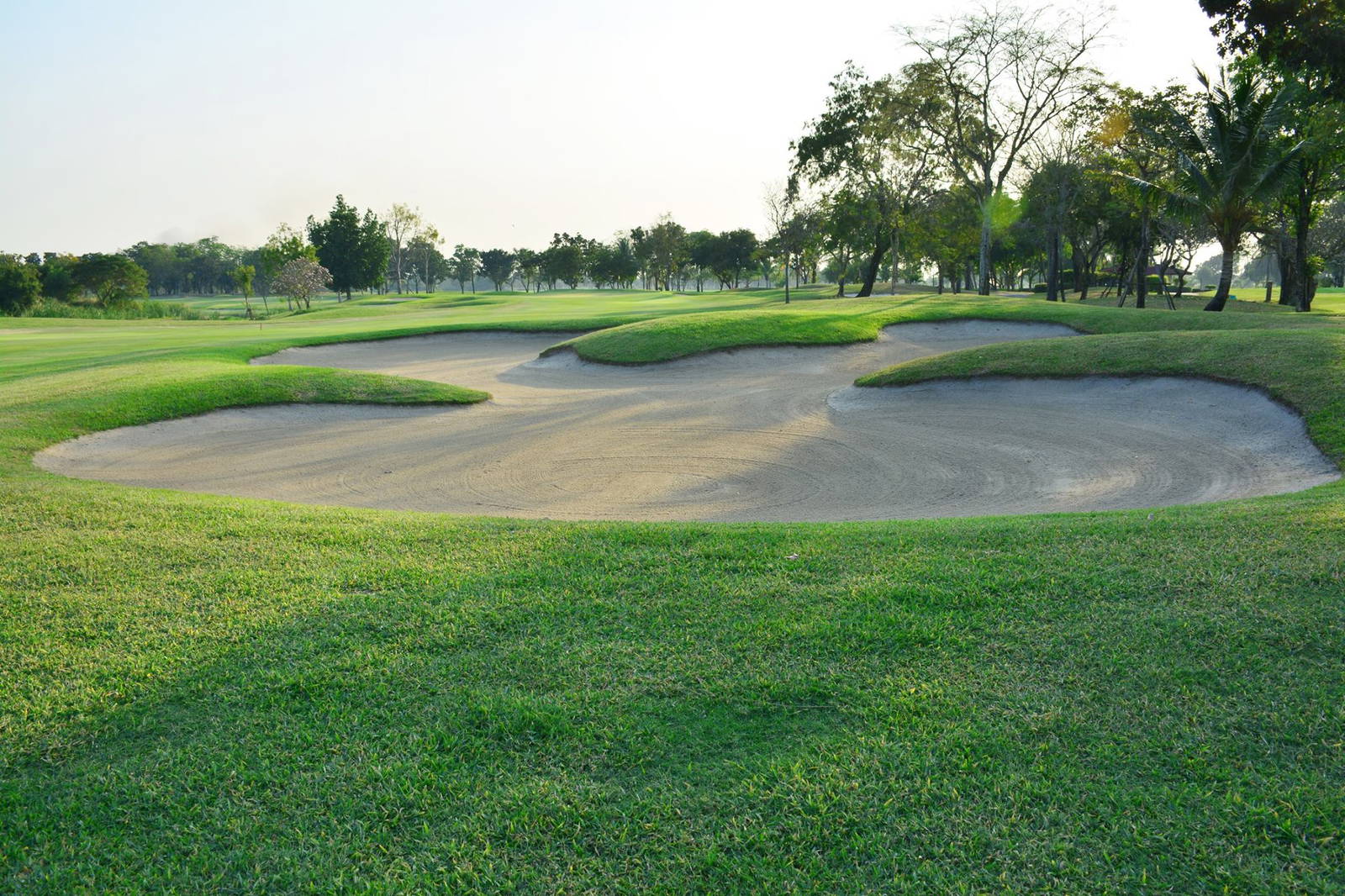 Fairway Bunker, Phoenix Gold Golf Bangkok, Bangkok, Thailand