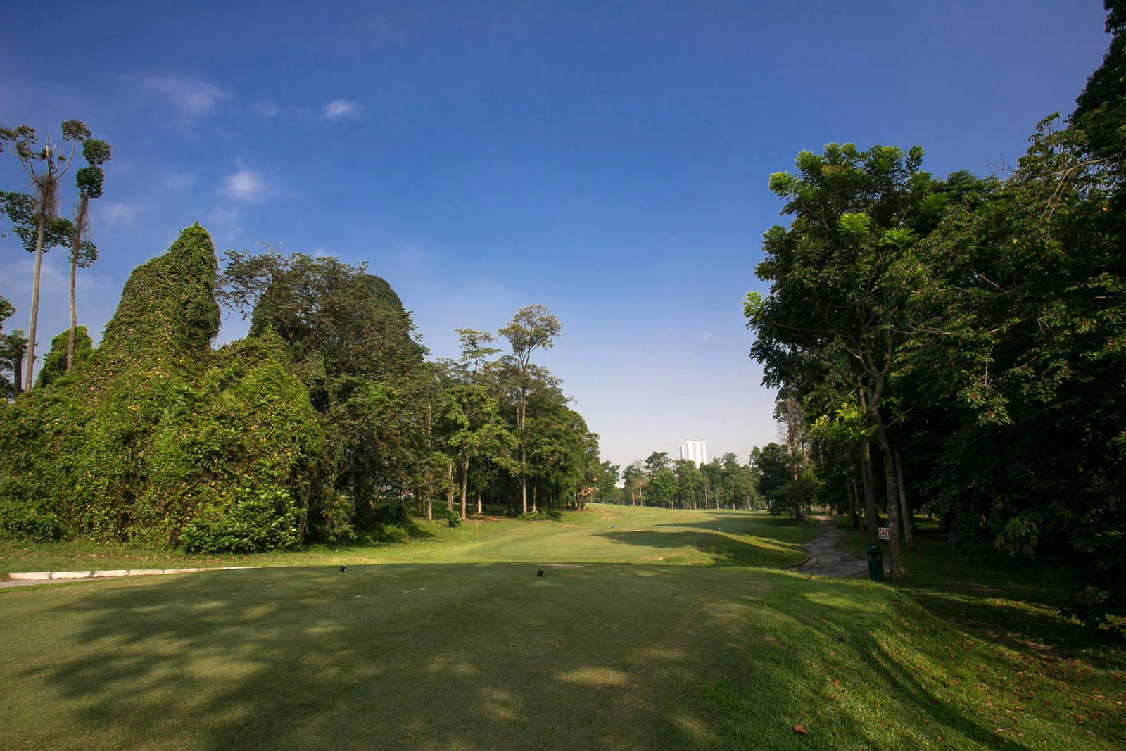 Tee Box, Kelab Golf Seri Selangor, Kuala Lumpur, Malaysia