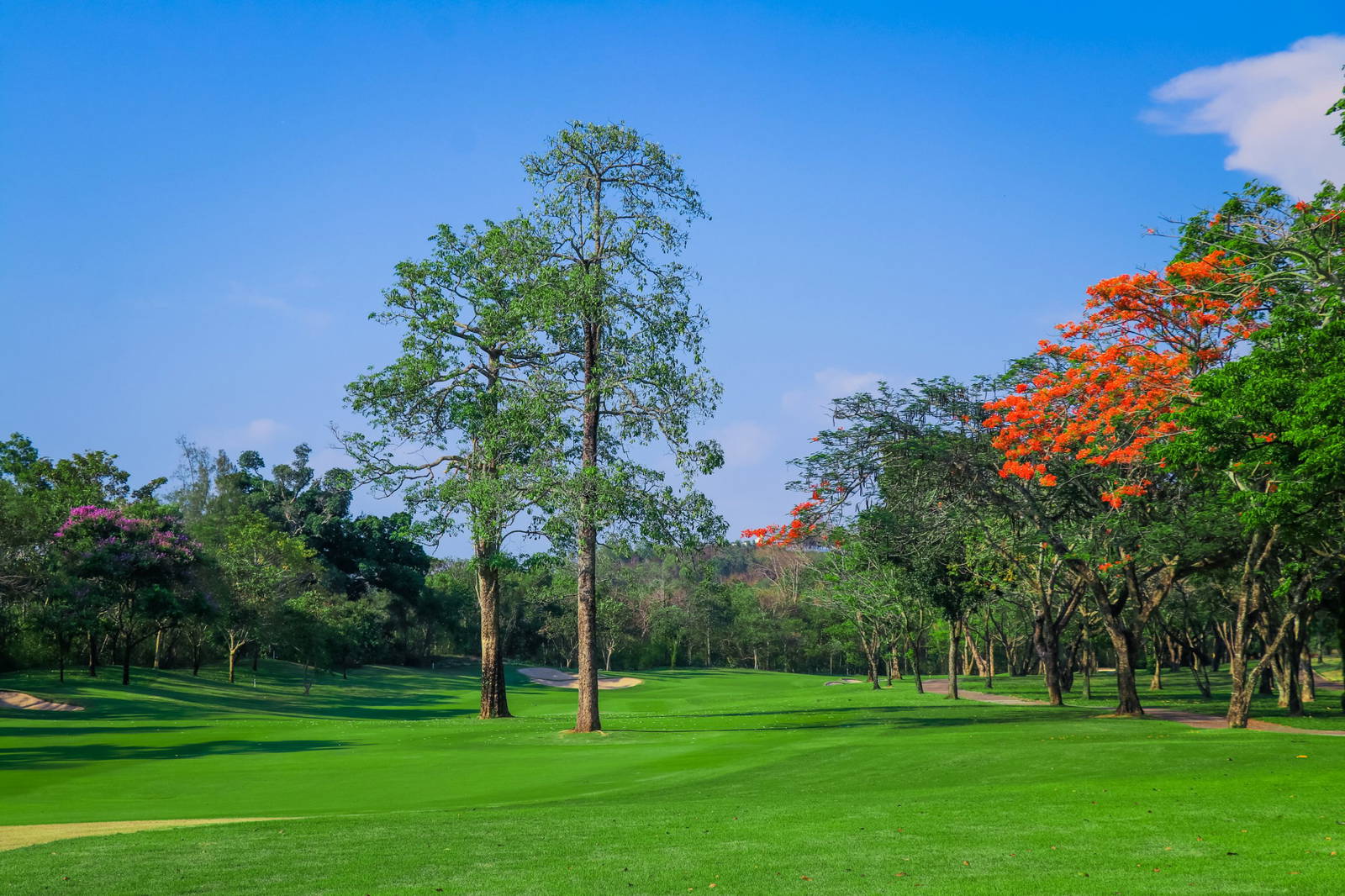 Fairway, Siam Country Club (Old Course), Pattaya, Thailand