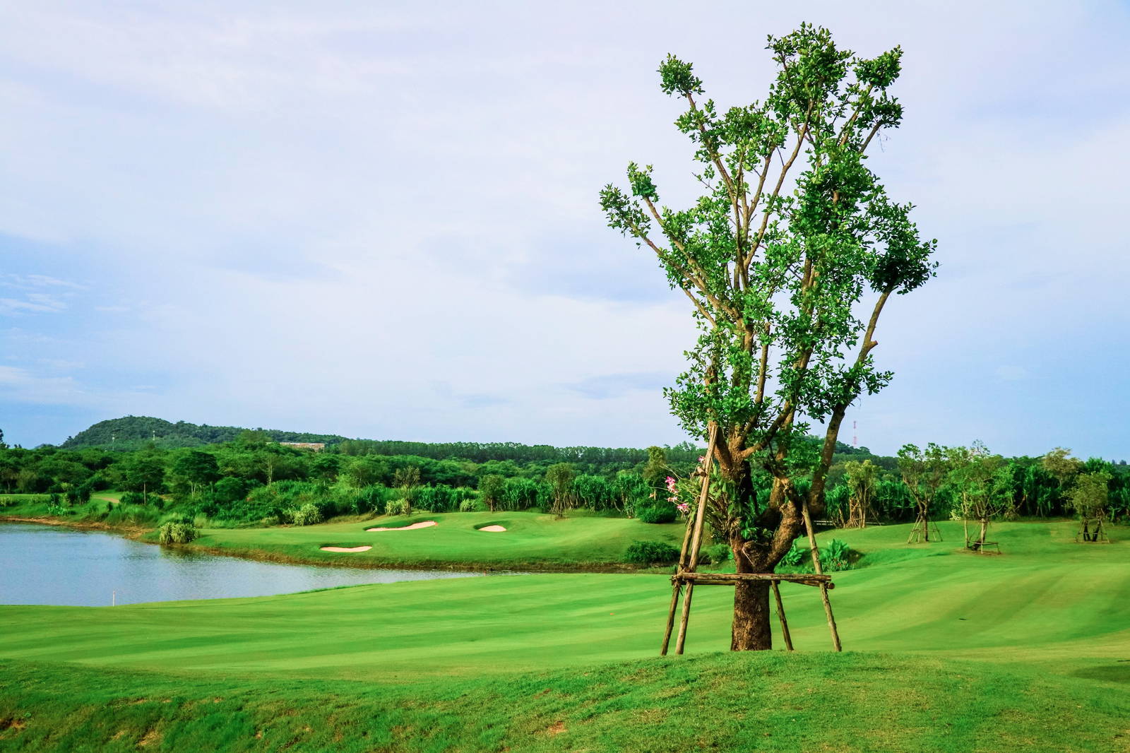 Fairway, Siam Country Club (Waterside Course), Pattaya, Thailand