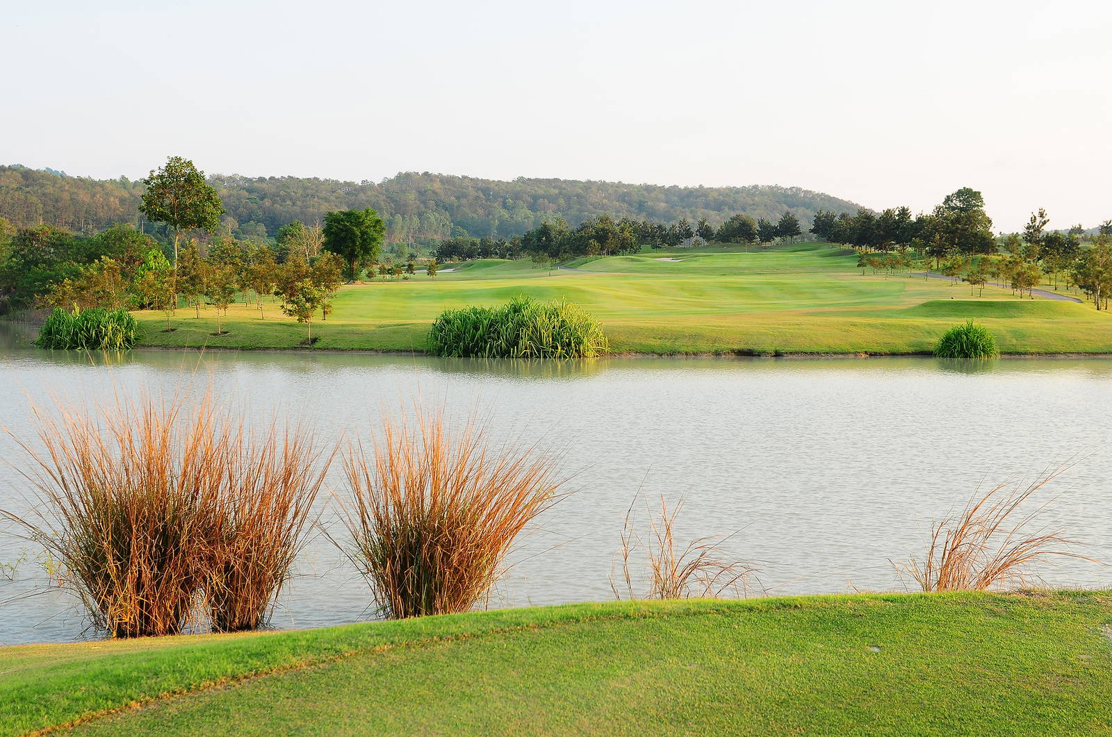 Fairway, Water Hazard, Silky Oak Country Club, Pattaya, Thailand