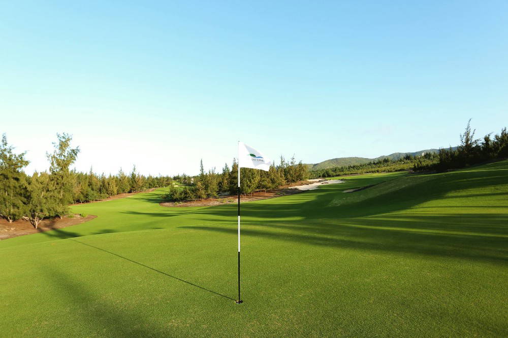 Green, Sonadezi Chau Duc Golf Course, Ho Chi Minh, Vietnam