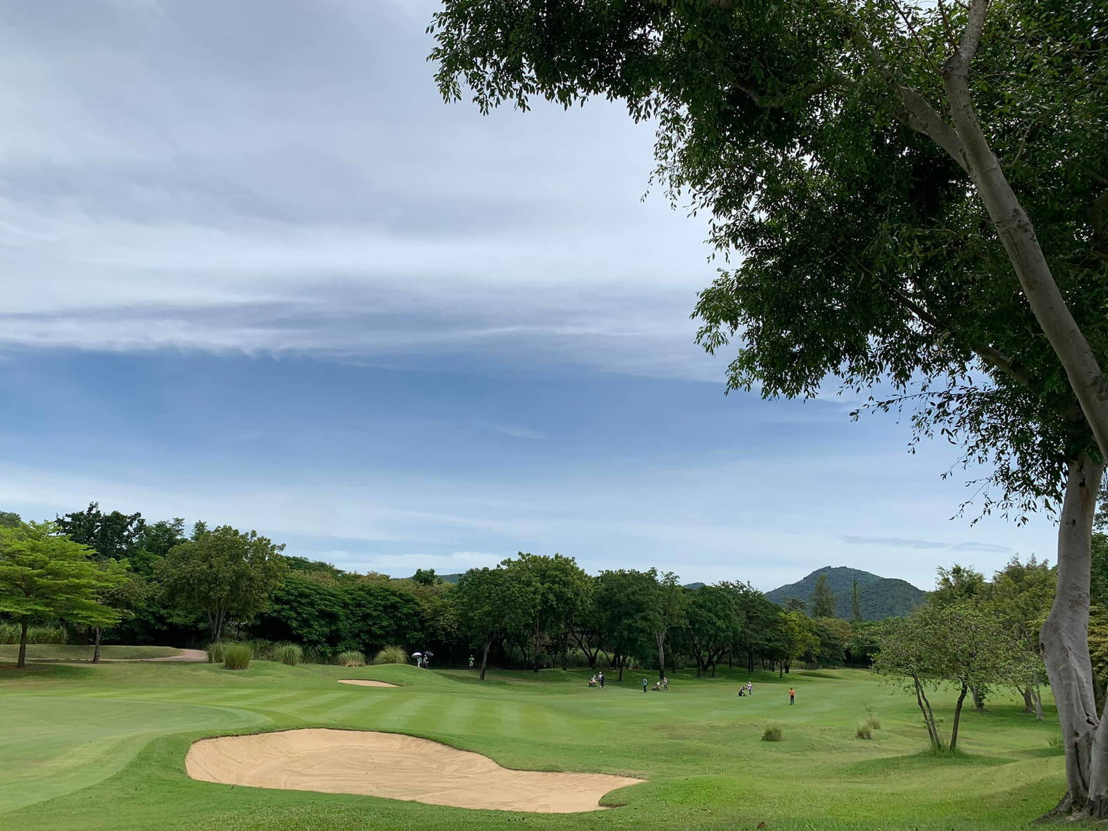 Fairway, Bunker, Springfield Golf Club, Hua Hin, Thailand