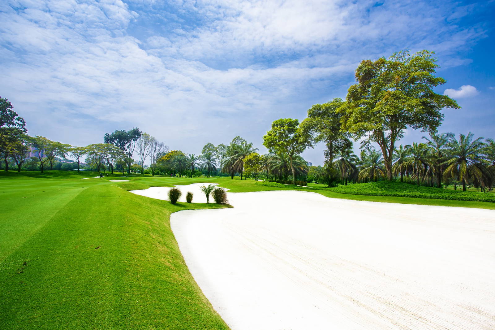 Fairway Bunker, Sungai Long Golf Country Club, Kuala Lumpur, Malaysia