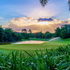 Green, Sungai Long Golf Country Club, Kuala Lumpur, Malaysia