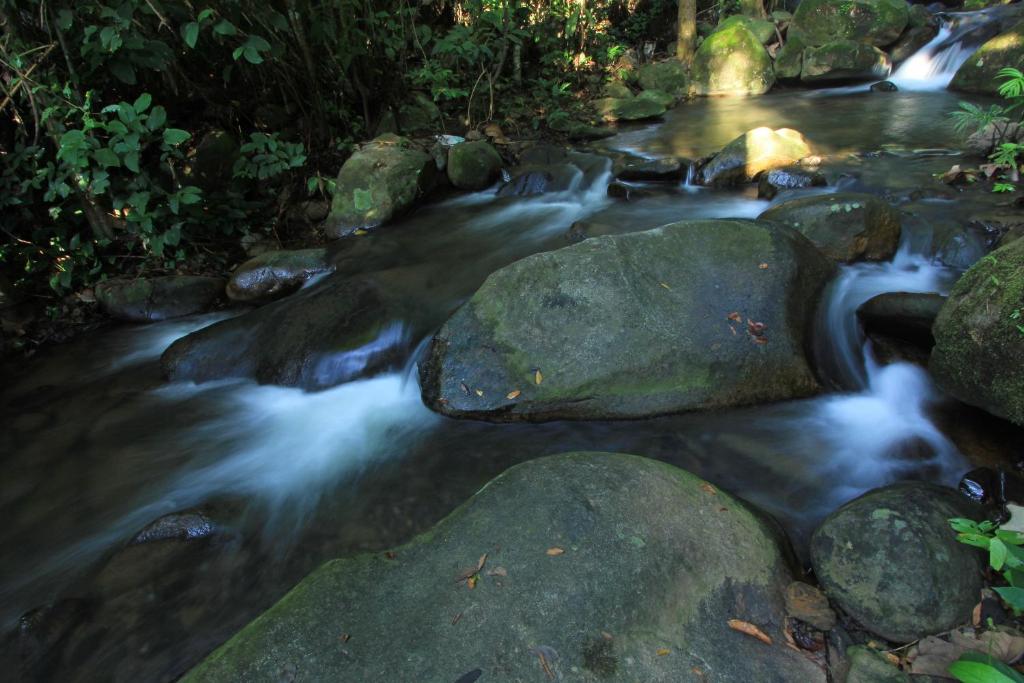 The Natural Garden Resort, Pattaya, Thailand