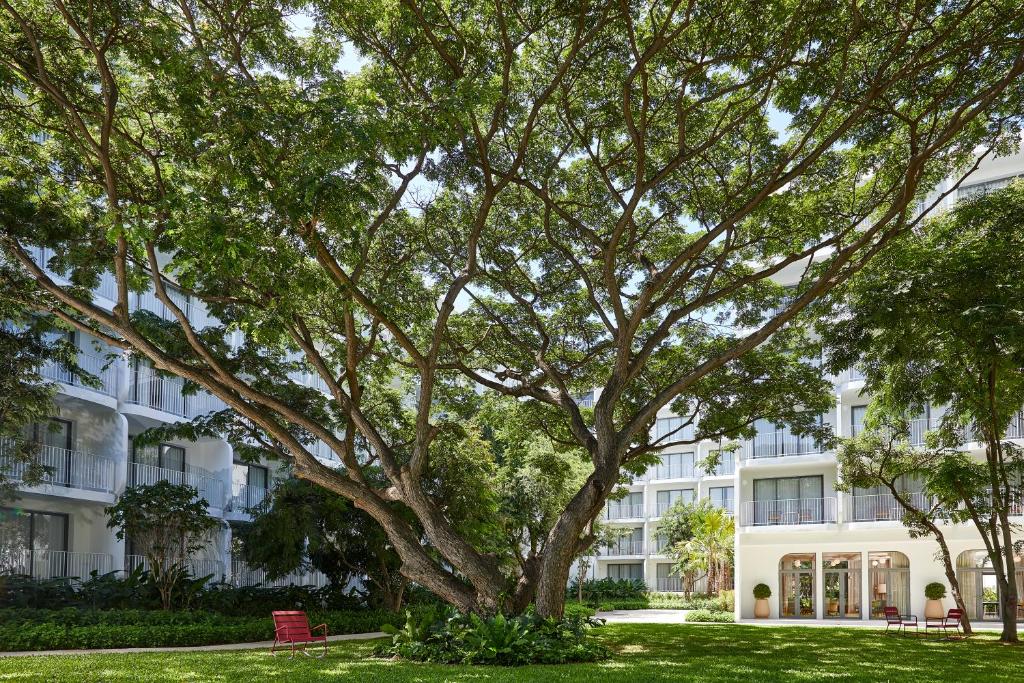 The Standard, Hua Hin, Hua Hin