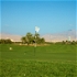 Green, Tower Links Golf Club, Dubai, United Arab Emirates