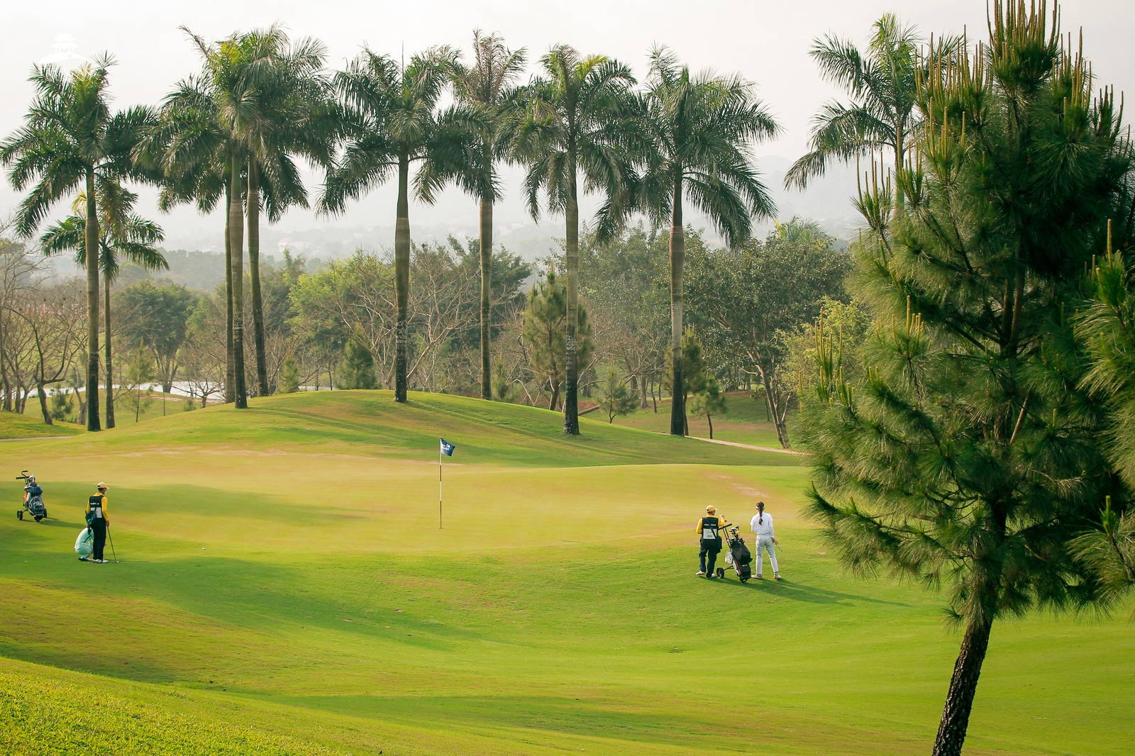 Green, Trang An Golf & Country Club, Hanoi, Vietnam