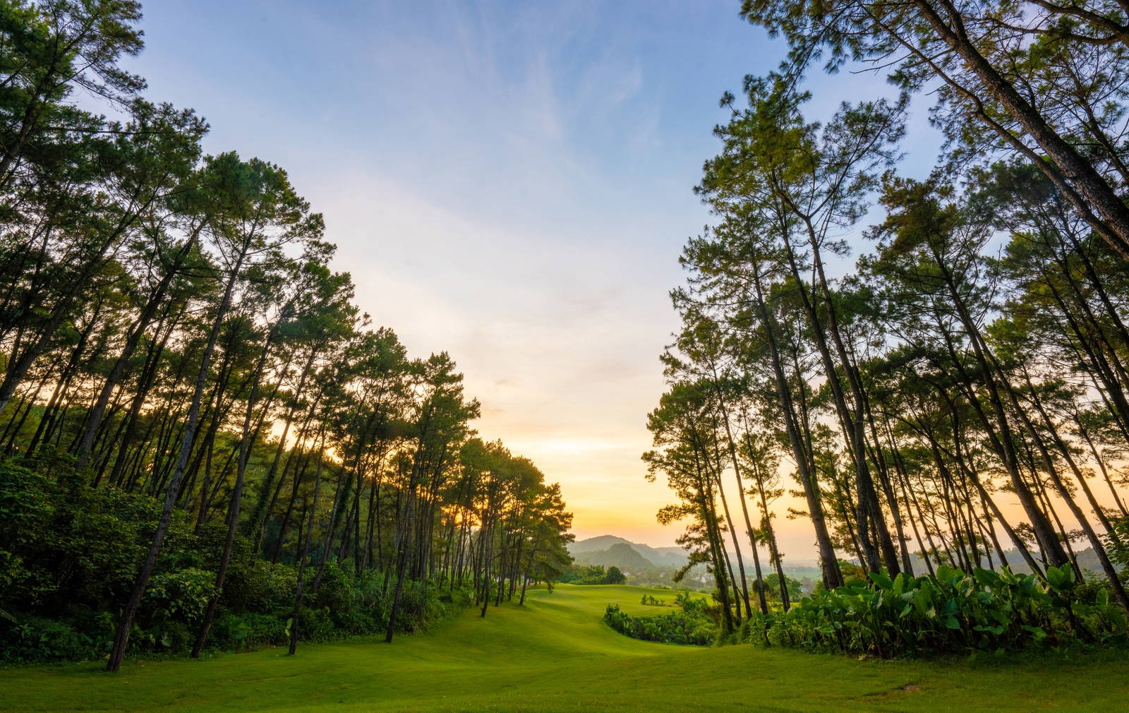 Tee Box, Trang An Golf & Country Club, Hanoi, Vietnam
