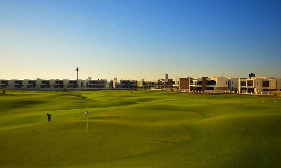 Green, Trump International Golf Club, Dubai, United Arab Emirates