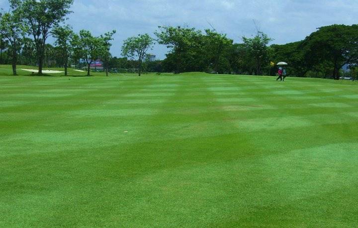 Fairway, Unico Grande Golf Course, Bangkok