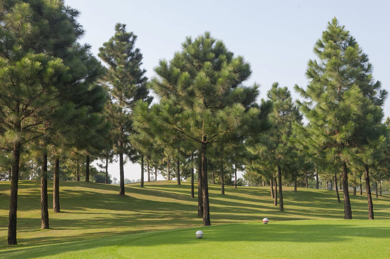 Tee Box, Van Tri Golf Club, Hanoi, Vietnam