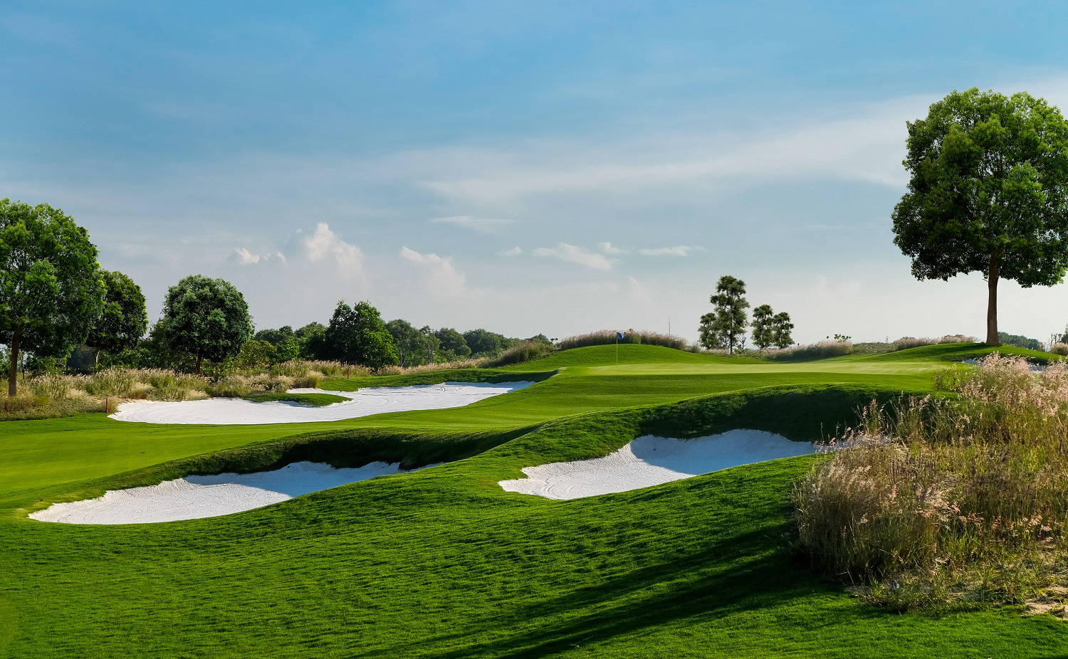 Approach, Greenside Bunker, Vinpearl Golf Nam Hoi An, Da Nang, Vietnam