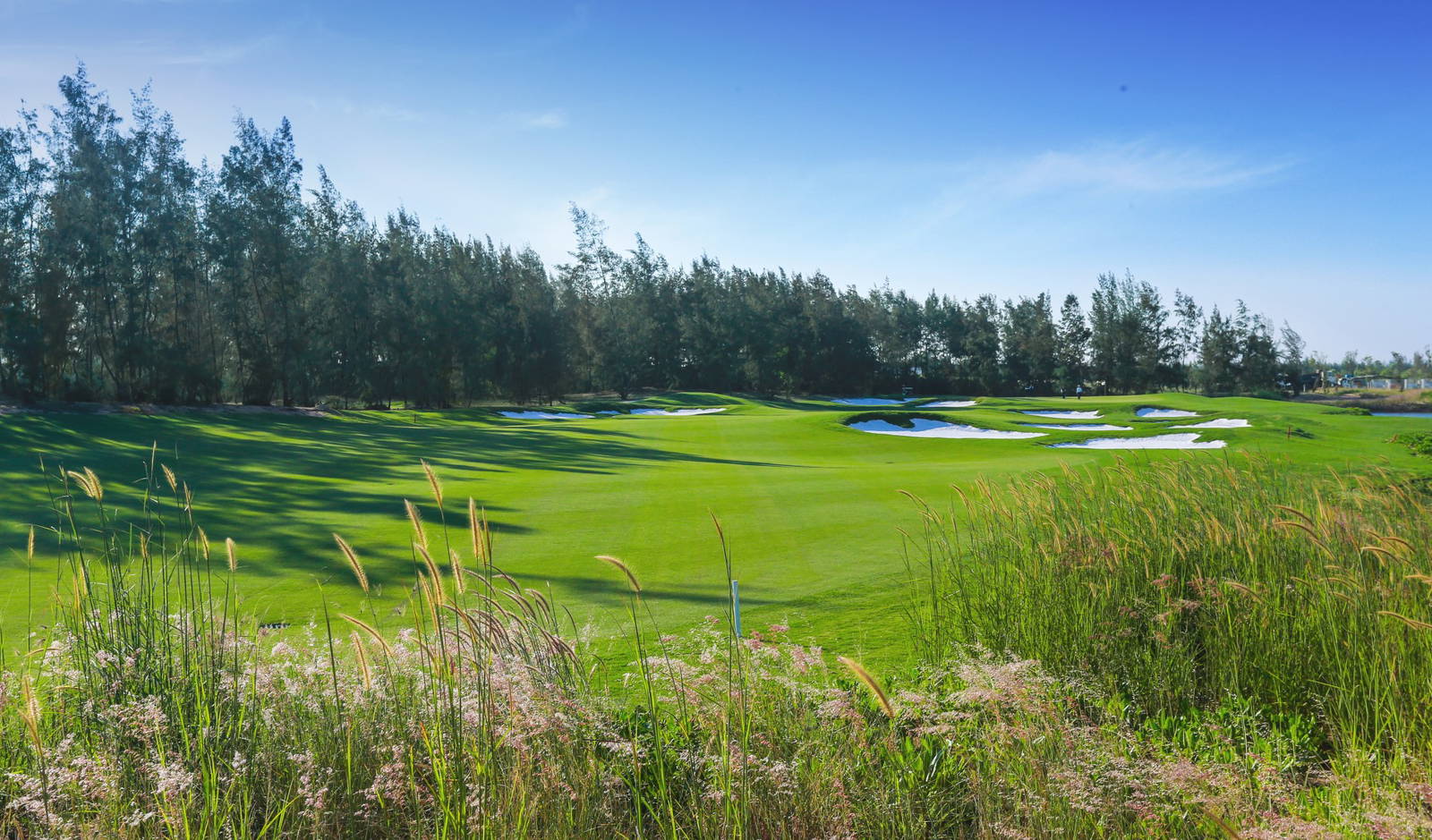 Fairway, Bunker, Vinpearl Golf Nam Hoi An, Da Nang, Vietnam
