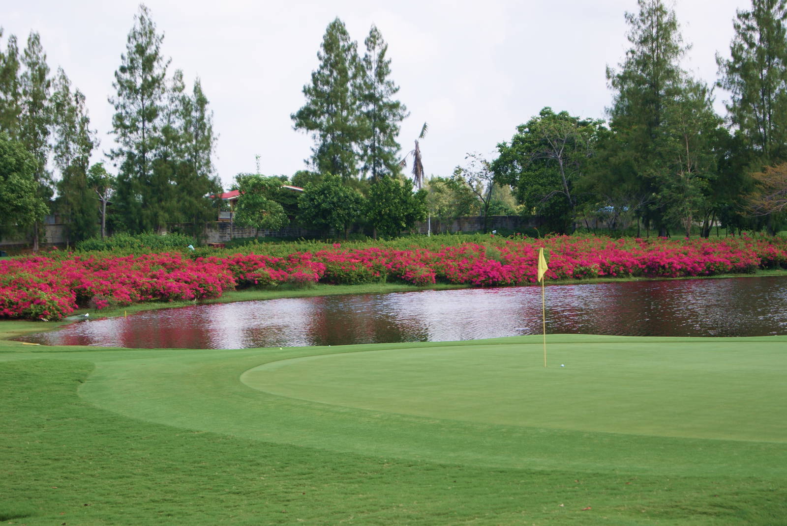 Green, Water Hazard, The Vintage Club, Bangkok, Thailand